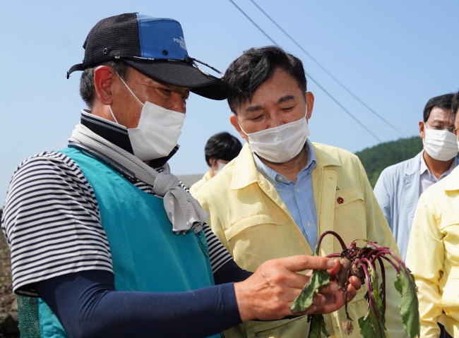 원희룡지사가 태풍피해 농가를 방문 현황을 파악하고 있다. 사진은 애월읍 곽지리 비트농가에 들러 패작상황을 둘러봤다.