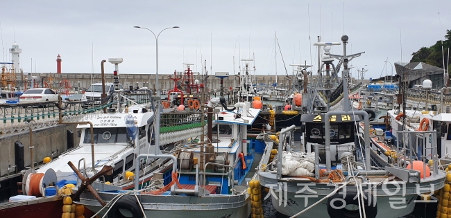 강력한 태풍 찬투의 북상에 따라 어선들이 항내에 꽁꽁 묶여 피항중이다. 15일 오후 도두항.