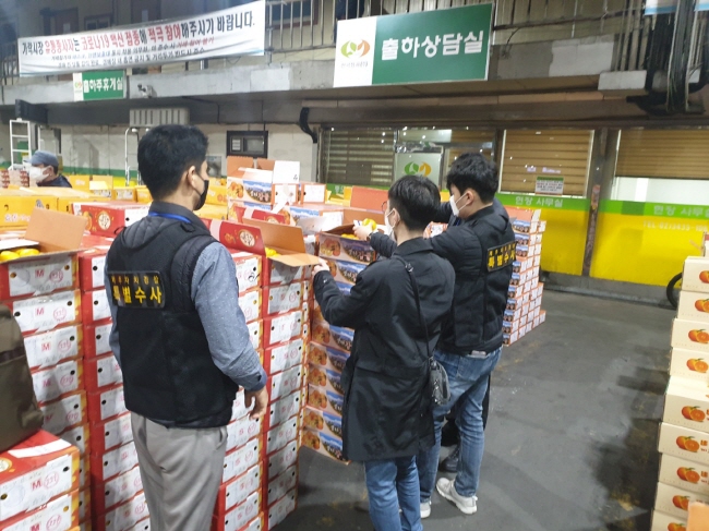 제주자치경찰단이 20~22일까지 수도권 일대 농산물도매시장을 대상으로 비상품 감귤 불법 유통 특별단속을 벌여 2건을 적발하고 해당 시에 통보할 예정이다.